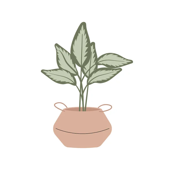 Große Grüne Pflanze Geflochtenen Blumenkorb Zimmerpflanze Flach Vector Illustration Innendekoration — Stockvektor