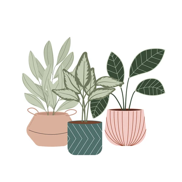 Plantas Casa Vaso Vetorial Plana Ilustração Decoração Interiores Para Casa — Vetor de Stock