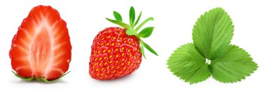 Çilekli ve beyaz arka planda yarı izole. Taze böğürtlen ve geniş bir alan. Ayarla ya da topla