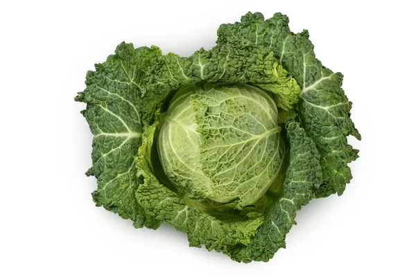 Savoy cabbage isolated on white background with clipping path and full depth of field. Top view. Flat lay — Stock Photo, Image