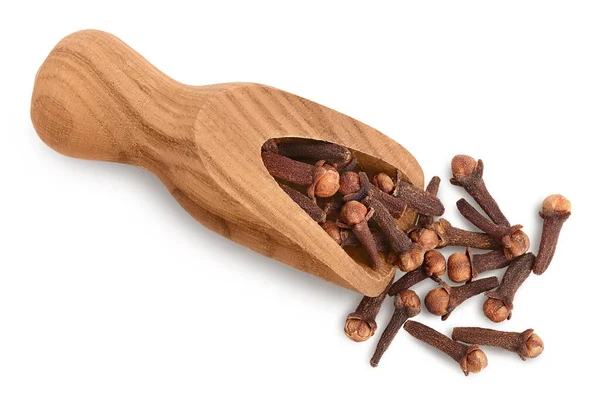 Dry spice cloves in wooden scoop isolated on white background with clipping path. Top view. Flat lay — Stock Photo, Image