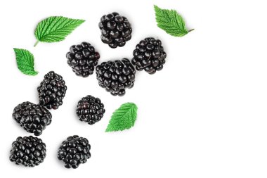 Blackberry beyaz bir arkaplanda izole edilmiş. Kesme yolu ve tam alan derinliği. Üst Manzara. Düz yatıyordu