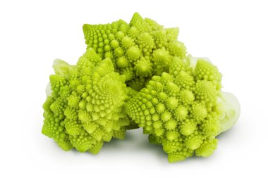 Romanesco brokoli lahanası ya da Roma Karnabaharı kesme yolu ve geniş bir alan derinliği olan beyaz arka planda izole edilmiş