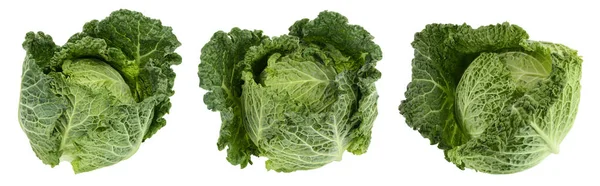 Savoy cabbage isolated on white background with full depth of field. Set or collection — Stock Photo, Image