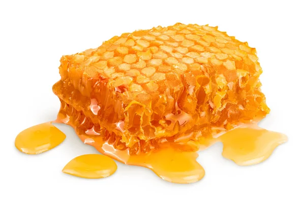 Honeycombs and honey puddle isolated on white background with clipping path and full depth of field — Stock Photo, Image