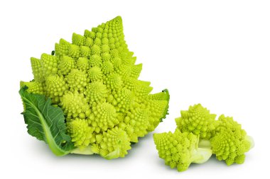 Romanesco brokoli lahanası ya da Roma Karnabaharı kesme yolu ve geniş bir alan derinliği olan beyaz arka planda izole edilmiş
