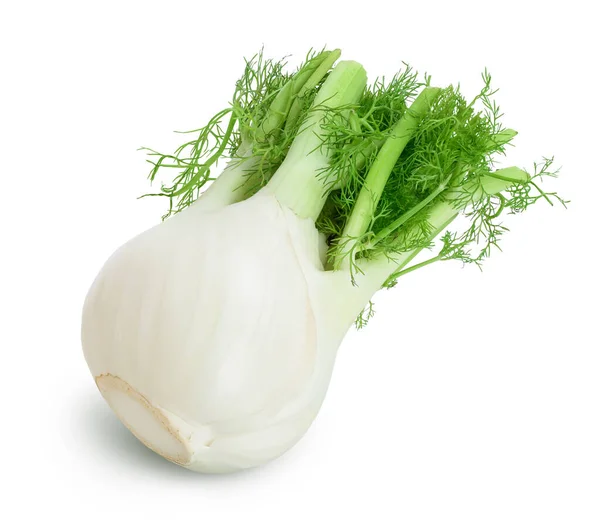 Fresh fennel bulb isolated on white background with clipping path and full depth of field — Stock Photo, Image