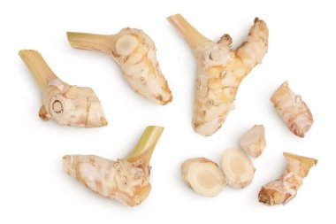 Kesme yolu ve alan derinliği ile beyaz arkaplanda izole edilmiş taze galangal kökü. Üst Manzara. Düz yatıyordu