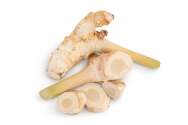 Kesme yolu ve alan derinliği ile beyaz arkaplanda izole edilmiş taze galangal kökü. Üst Manzara. Düz yatıyordu