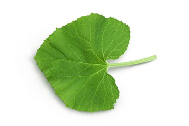 Kavun yaprağı beyaz arkaplanda izole edilmiş, kırpma yolu ve tam derinlik. Üst Manzara. Düz yatıyordu.
