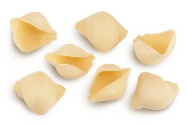 Conchiglioni İtalyan makarnası kesme yolu olan beyaz arka planda izole edilmiş. Üst Manzara. Düz yatıyordu