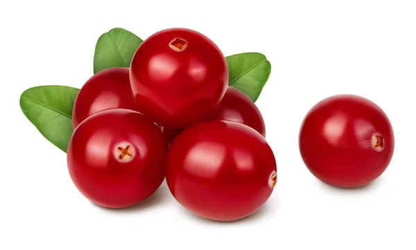 Cranberry isolated on white background with clipping path and full depth of field — Stock Photo, Image
