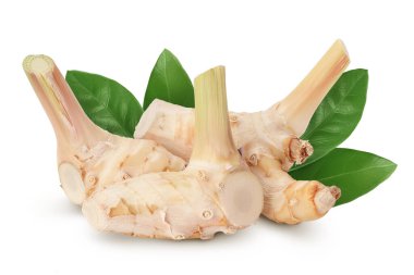 Kırpma yolu ve tam derinlik alan ile beyaz arkaplanda izole edilmiş taze galangal kök.