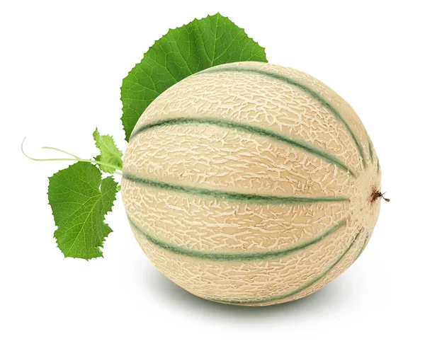 Melon cantaloup isolé sur fond blanc avec chemin de coupe et pleine profondeur de champ — Photo