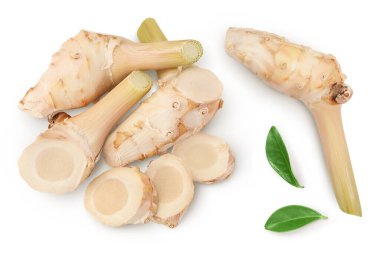 Kesme yolu ve alan derinliği ile beyaz arkaplanda izole edilmiş taze galangal kökü. Üst Manzara. Düz yatıyordu