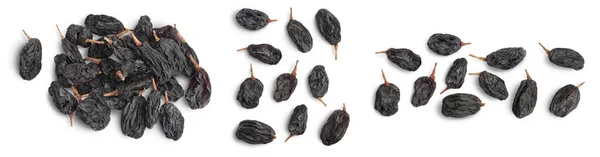 Black raisin isolated on white background with clipping path. Top view. Flat lay. Set or collection — Stock Photo, Image