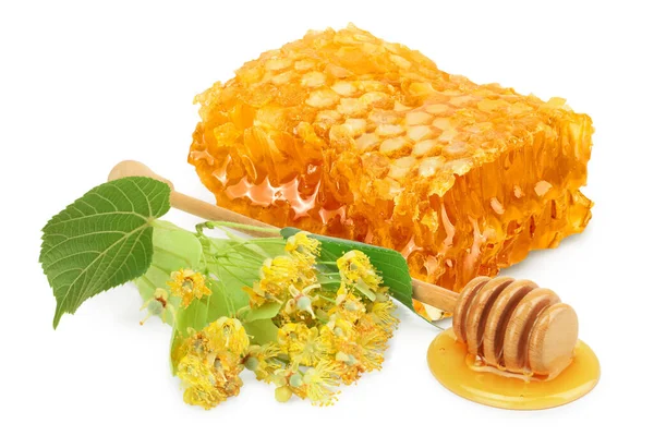 Honeycombs and honey puddle with stick and Linden flowers isolated on white background — Stockfoto