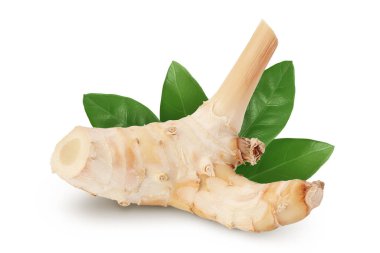 Kırpma yolu ve tam derinlik alan ile beyaz arkaplanda izole edilmiş taze galangal kök.