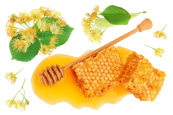 Honeycombs and honey puddle with stick and Linden flowers isolated on white background. Top view. Flat lay — Stock Fotó