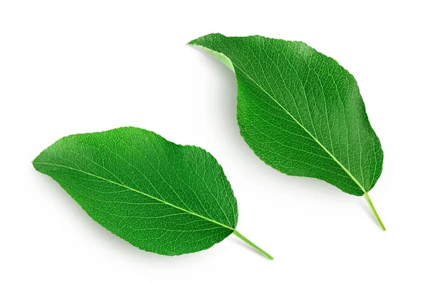 Grünes Birnenblatt Isoliert Auf Weißem Hintergrund Ansicht Von Oben Flache — Stockfoto