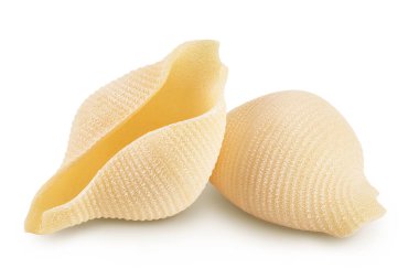 Konchiglioni İtalyan makarnası beyaz arka planda izole edilmiş, geniş bir alana yayılmış..