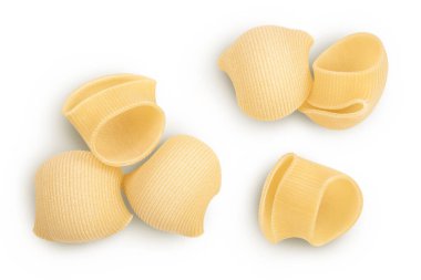 Lumaconi makarnası beyaz arka planda izole edilmiş, geniş bir alana yayılmış. Üst Manzara. Düz yatıyordu.