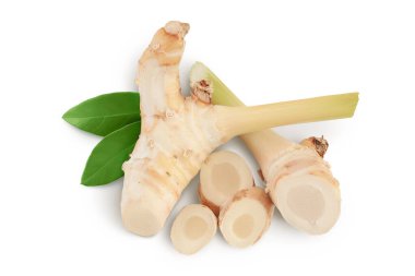 Dilimleri beyaz arka planda izole edilmiş taze galangal kökü tam derinlikte. Üst Manzara. Düz yatıyordu.