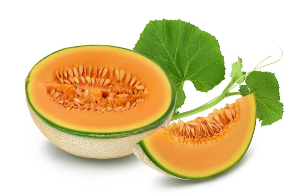 Kavun tam derinlikte beyaz arkaplanda izole edildi