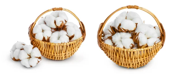 Cotton Plant Flower Wicker Basket Isolated White Background Full Depth —  Fotos de Stock