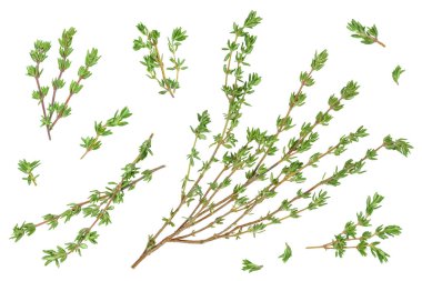 fresh thyme isolated on a white background with full depth of field, Top view. Flat lay.