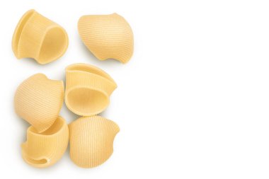 lumaconi pasta isolated on white background with full depth of field. Top view with copy space for your text. Flat lay.