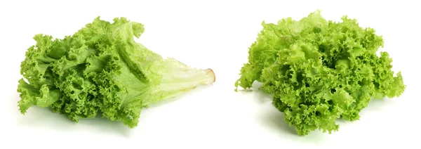 Fresh Lettuce Isolated White Background Salad Leaf — Stock Photo, Image