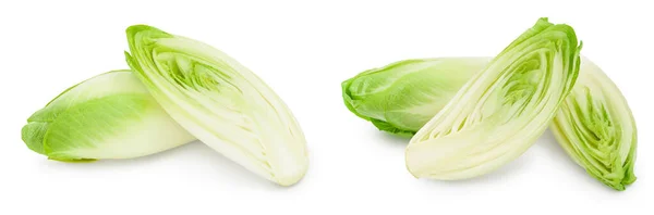 Chicory Salad Isolated White Background Full Depth Field — Stok fotoğraf