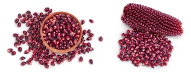 Ahşap kasedeki mor mısır tohumları beyaz arka planda izole edilmiş, geniş bir alana yayılmış. Üst Manzara. Düz yatıyordu.