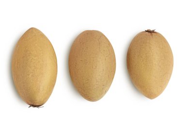 Sapodilla beyaz arka planda tam derinlikte izole edildi. Üst Manzara. Düz yatıyordu.