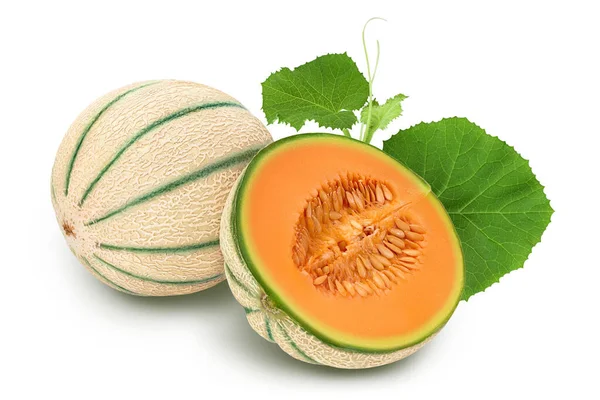 Kantaloupe Melon Isolerad Vit Bakgrund Med Fullt Skärpedjup — Stockfoto