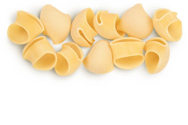 Lumaconi Pasta Isolated White Background Full Depth Field Top View — ストック写真