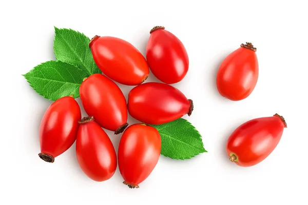 Rose Hip Isolated White Background Full Depth Field Top View — Stock Photo, Image