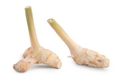 Taze galangal kök tam derinlikte beyaz arkaplanda izole edildi