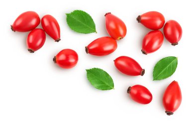 Rose kalçası beyaz arka planda izole edilmiş, geniş bir alana yayılmış. Metnin için kopyalama alanı olan üst görünüm. Düz yatıyordu