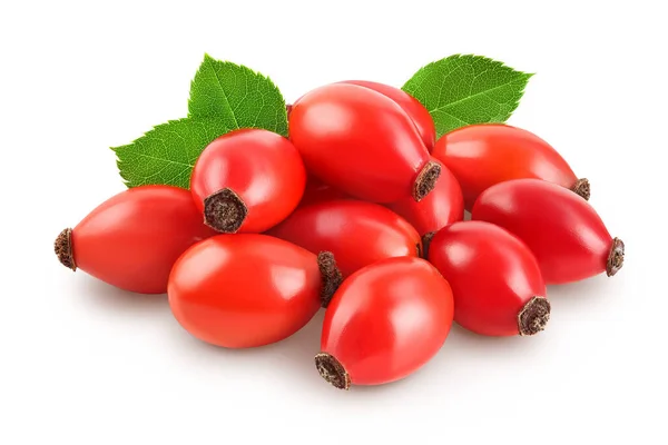 Rosa Canina Isolata Fondo Bianco Con Piena Profondità Campo — Foto Stock