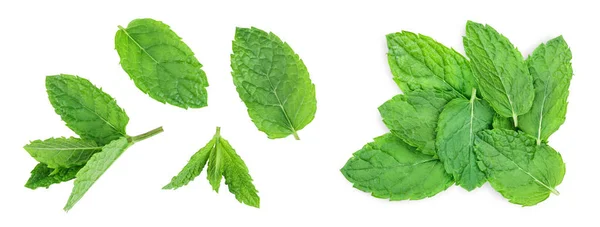 Fresh Green Mint Leaves Isolated White Background Top View Flat — Stock Photo, Image