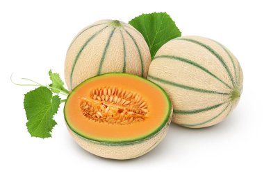 Kavun tam derinlikte beyaz arkaplanda izole edildi