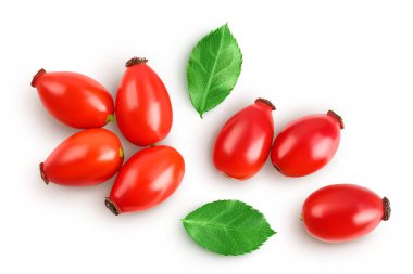 Rose kalçası beyaz arka planda izole edilmiş, geniş bir alana yayılmış. Üst Manzara. Düz yatıyordu