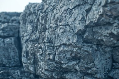 Manitoba Kanada 'da doğanın Macro' su