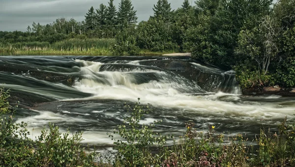 Manitoba 'daki Doğu Ormanı