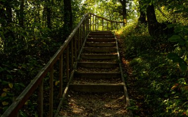 Winnipeg Manitoba şehrinin çevresinden gelen doğa.