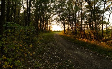 Winnipeg, Manitoba Kanada 'da altın saat