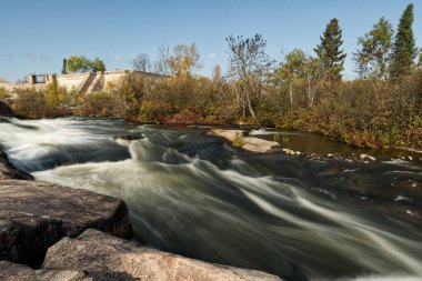 Manitoba 'daki Doğu Ormanı