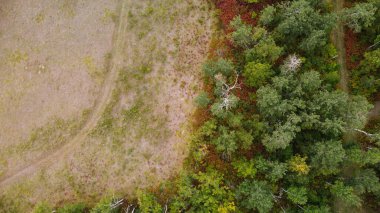 Yazın Manitoba Kanada 'nın Arial manzarası
